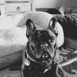 Meet your Posher, Julie